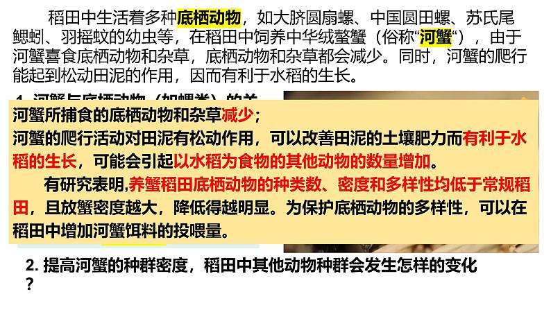 2.1群落的结构-2024-2025学年高二生物同步高效教学课件（人教版2019选择性必修2）第3页