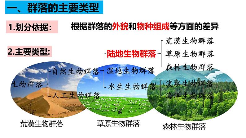 2.2 群落的主要类型-2024-2025学年高二生物同步高效教学课件（人教版2019选择性必修2）第2页