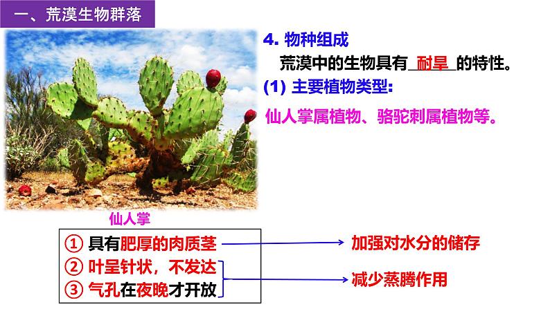 2.2 群落的主要类型-2024-2025学年高二生物同步高效教学课件（人教版2019选择性必修2）第4页