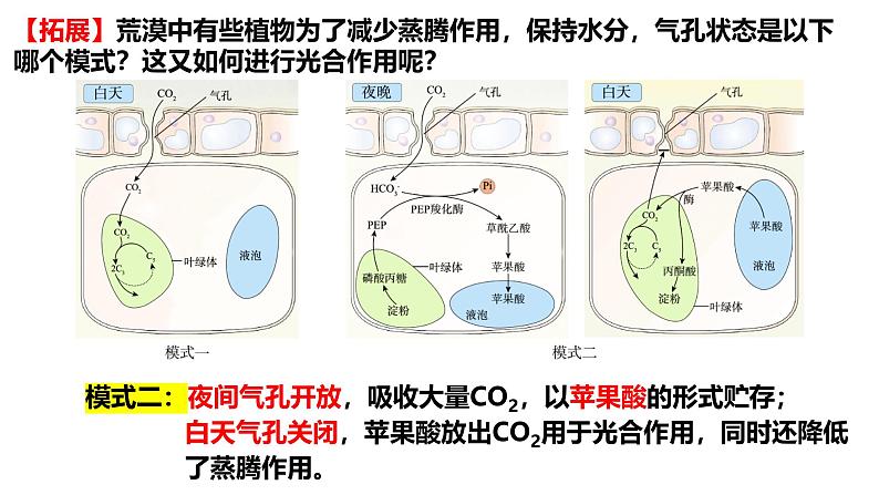 2.2 群落的主要类型-2024-2025学年高二生物同步高效教学课件（人教版2019选择性必修2）第7页