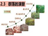 2.3 群落的演替-2024-2025学年高二生物同步高效教学课件（人教版2019选择性必修2）