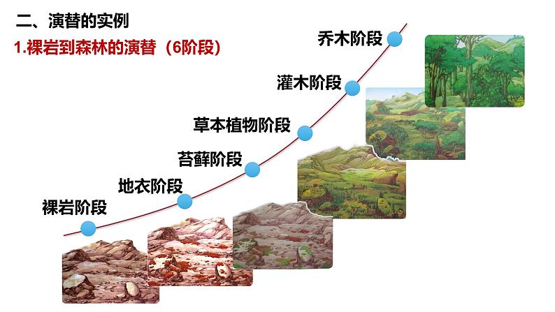 2.3 群落的演替-2024-2025学年高二生物同步高效教学课件（人教版2019选择性必修2）第3页