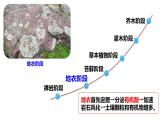 2.3 群落的演替-2024-2025学年高二生物同步高效教学课件（人教版2019选择性必修2）