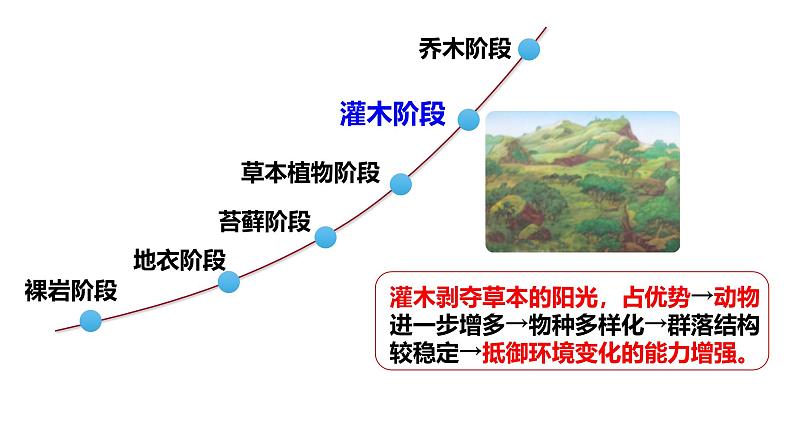 2.3 群落的演替-2024-2025学年高二生物同步高效教学课件（人教版2019选择性必修2）第8页