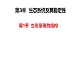 3.1 生态系统的结构-2024-2025学年高二生物同步高效教学课件（人教版2019选择性必修2）