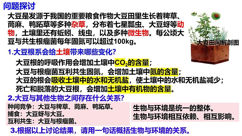 3.1 生态系统的结构-2024-2025学年高二生物同步高效教学课件（人教版2019选择性必修2）第4页