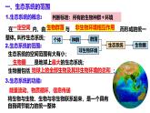 3.1 生态系统的结构-2024-2025学年高二生物同步高效教学课件（人教版2019选择性必修2）