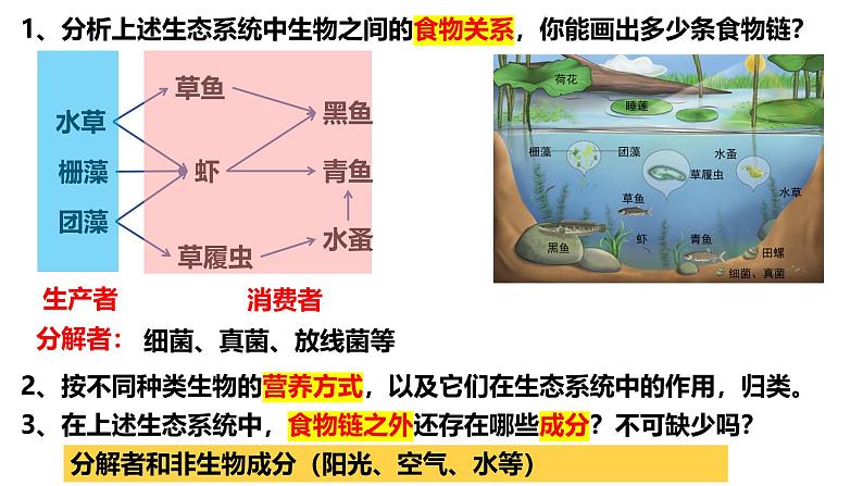 3.1 生态系统的结构-2024-2025学年高二生物同步高效教学课件（人教版2019选择性必修2）第8页