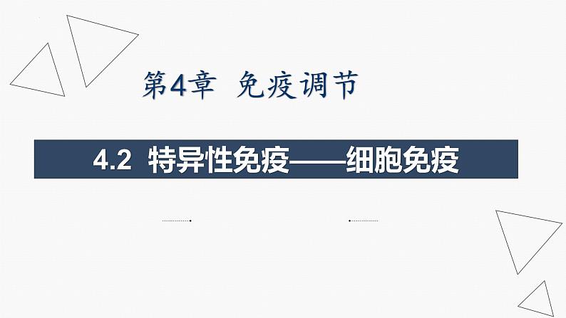 4.1 特异性免疫—细胞免疫 体液免疫和细胞免疫的关系-2024-2025学年高二生物同步教学课件（人教版2019选择性必修1）第1页