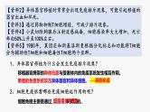 4.1 特异性免疫—细胞免疫 体液免疫和细胞免疫的关系-2024-2025学年高二生物同步教学课件（人教版2019选择性必修1）