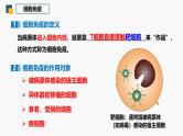 4.1 特异性免疫—细胞免疫 体液免疫和细胞免疫的关系-2024-2025学年高二生物同步教学课件（人教版2019选择性必修1）