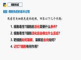 4.1 特异性免疫—细胞免疫 体液免疫和细胞免疫的关系-2024-2025学年高二生物同步教学课件（人教版2019选择性必修1）