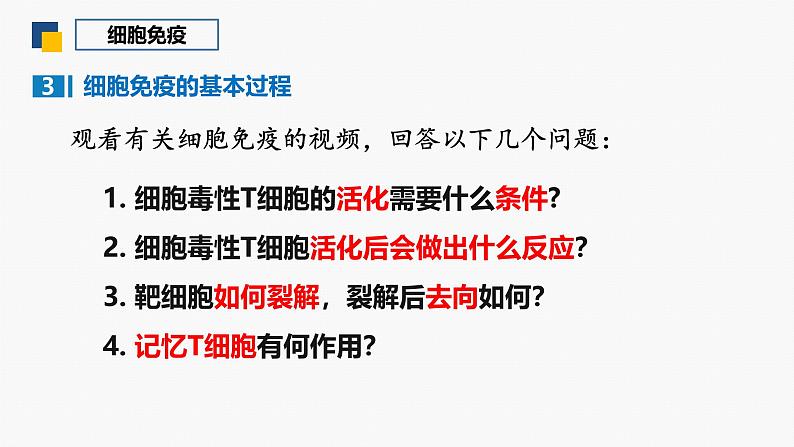 4.1 特异性免疫—细胞免疫 体液免疫和细胞免疫的关系-2024-2025学年高二生物同步教学课件（人教版2019选择性必修1）第5页