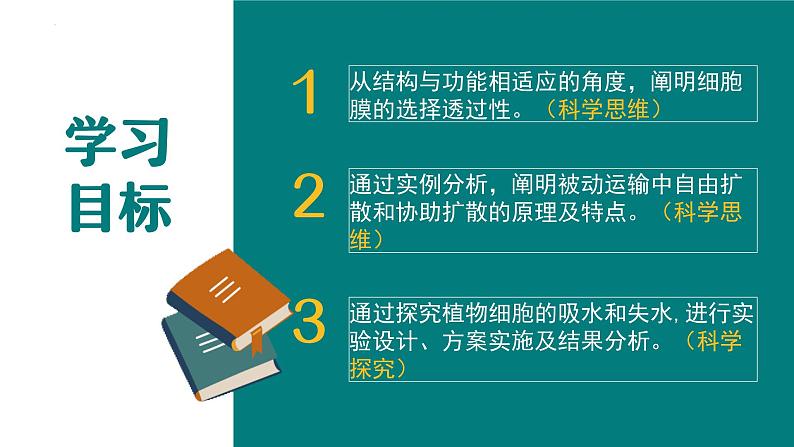 4.1被动运输-2024-2025学年高一生物同步备课课件（人教版2019必修1）第2页