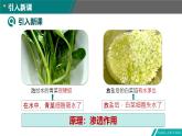 4.1被动运输-2024-2025学年高一生物同步备课课件（人教版2019必修1）