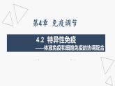4.2 特异性免疫—体液免疫和细胞免疫的协调配合-2024-2025学年高二生物同步课件（人教版2019选择性必修1）