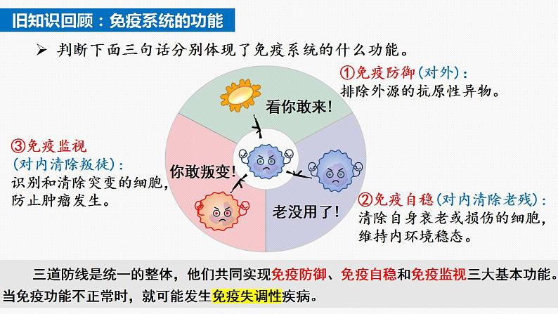 4.3 免疫失调（第1课时）-2024-2025学年高二生物同步课件（人教版2019选择性必修1）第2页