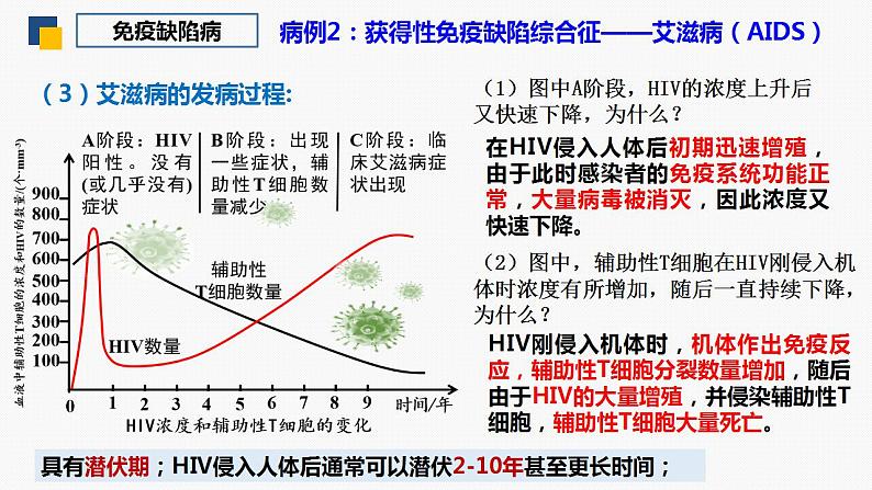 4.3 免疫失调（第2课时）-2024-2025学年高二生物同步课件（人教版2019选择性必修1）第8页