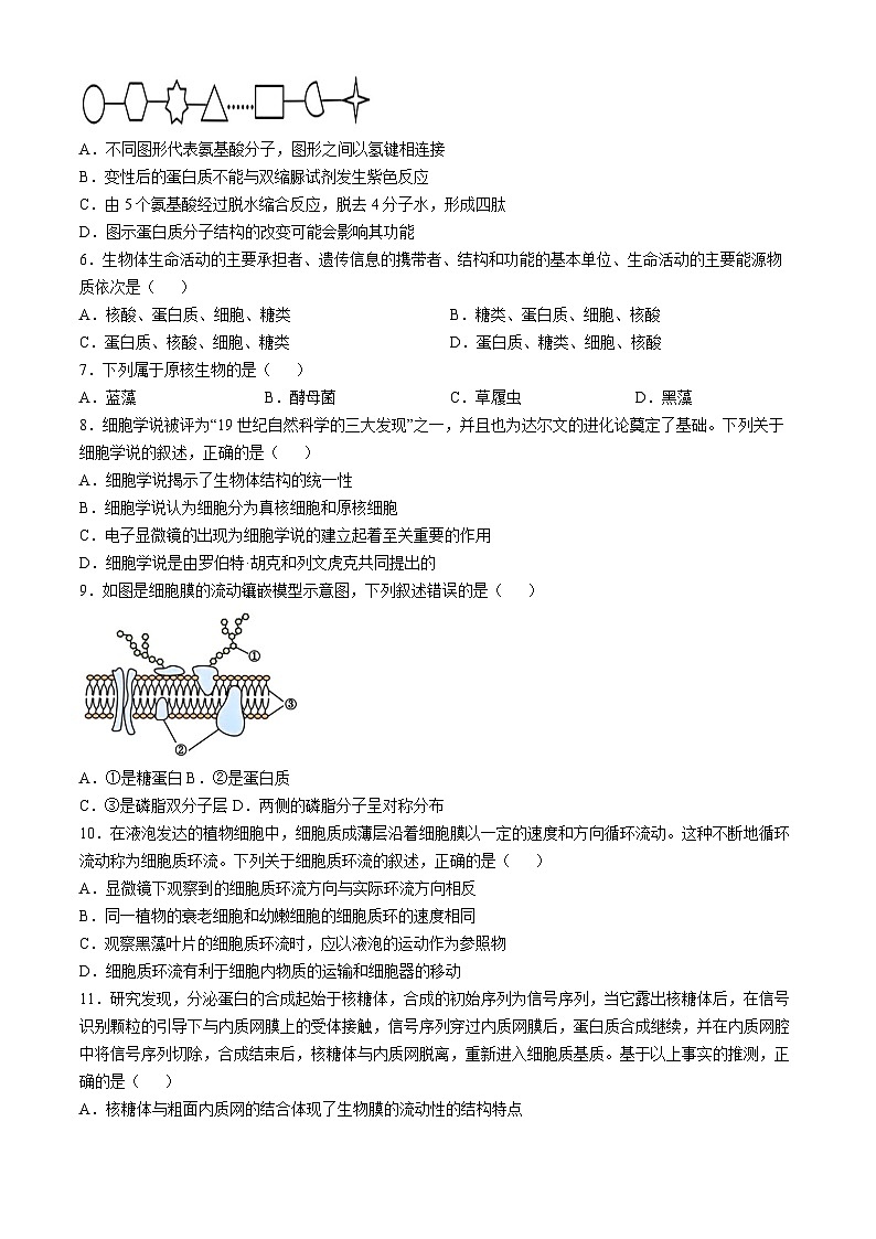 浙江省杭州市北斗联盟2024-2025学年高一上学期期中联考生物试题第2页