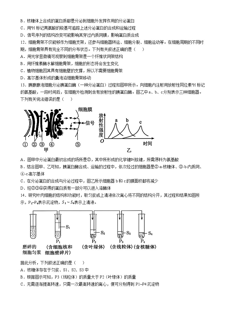 浙江省杭州市北斗联盟2024-2025学年高一上学期期中联考生物试题第3页