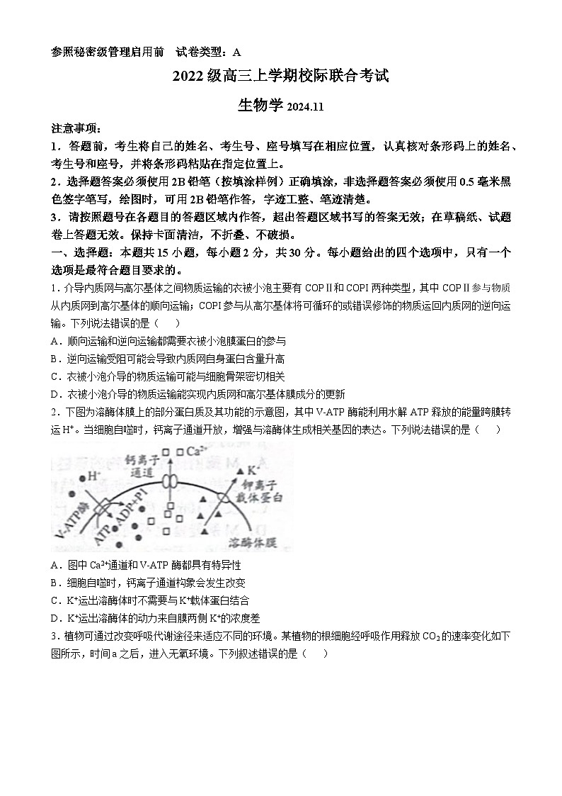 山东省日照市2024-2025学年高三上学期期中考试生物试题(无答案)第1页