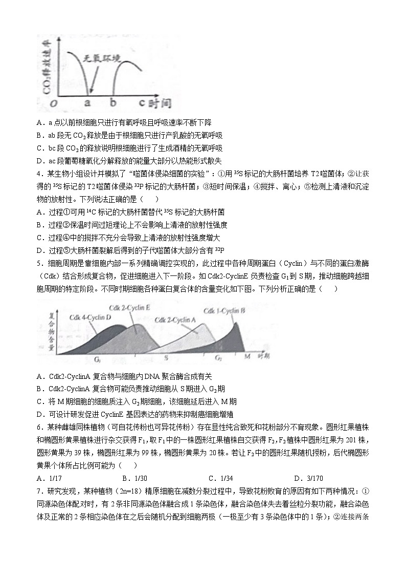 山东省日照市2024-2025学年高三上学期期中考试生物试题(无答案)第2页