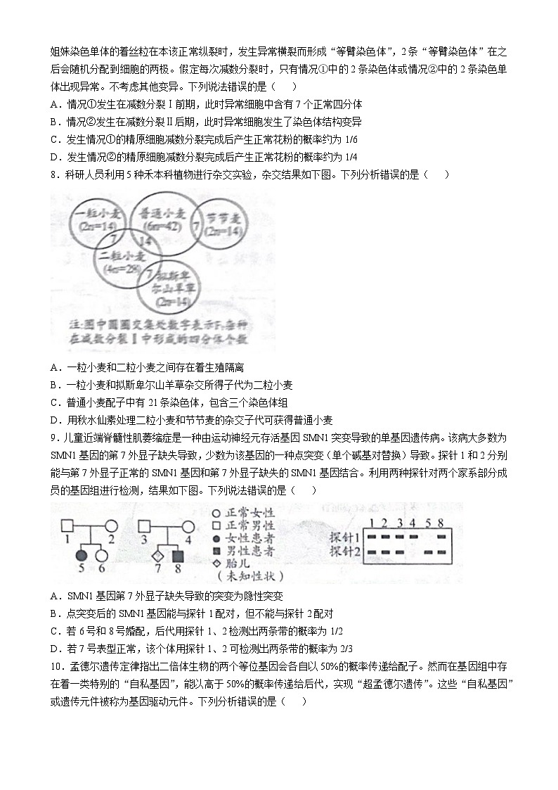 山东省日照市2024-2025学年高三上学期期中考试生物试题(无答案)第3页