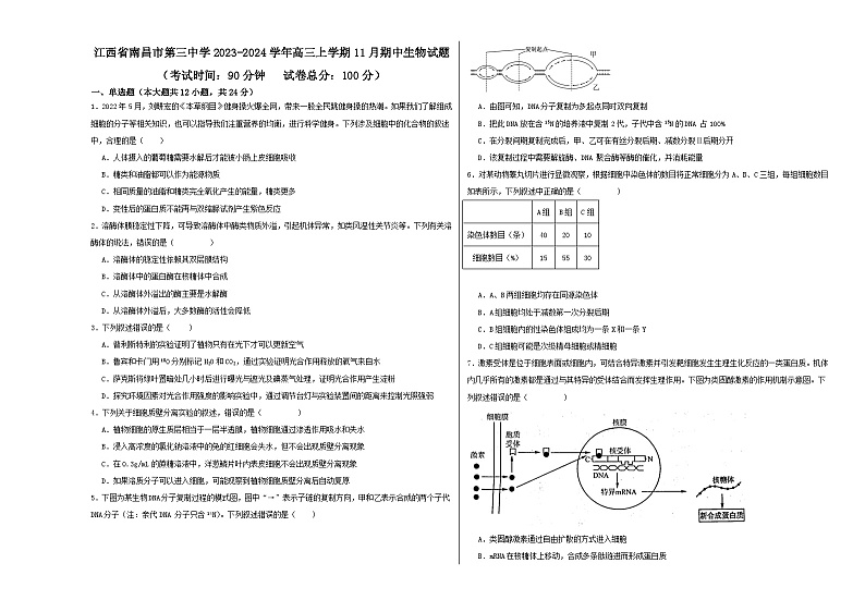 江西省南昌市第三中学2023-2024学年高三上学期11月期中生物试题第1页