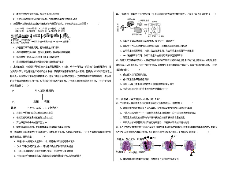 江西省南昌市第三中学2023-2024学年高三上学期11月期中生物试题第2页
