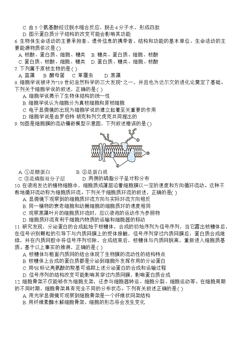 浙江省杭州市北斗联盟2024-2025学年高一上学期期中联考生物试题第2页