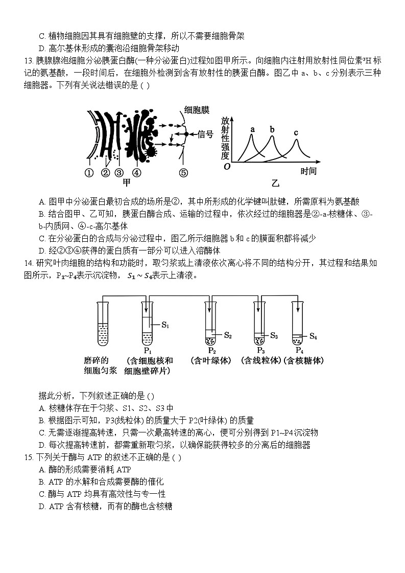 浙江省杭州市北斗联盟2024-2025学年高一上学期期中联考生物试题第3页