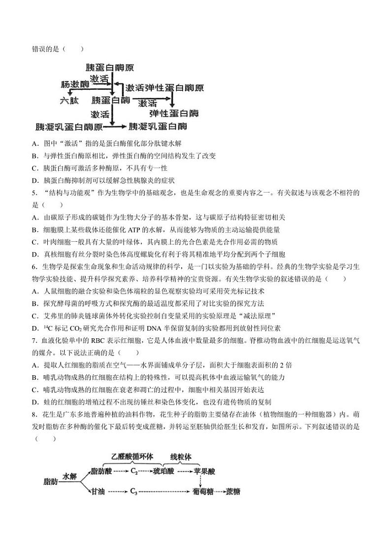 广东省揭阳市惠来县惠来县第一中学2024～2025学年高三(上)期中生物试卷(含解析)第2页