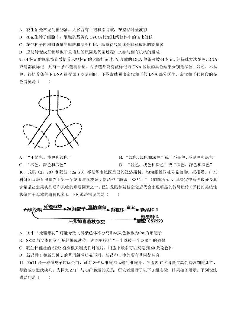 广东省揭阳市惠来县惠来县第一中学2024～2025学年高三(上)期中生物试卷(含解析)第3页