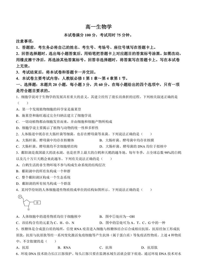 广东省名校联盟2024～2025学年高一(上)期中联考生物试卷(含答案)第1页