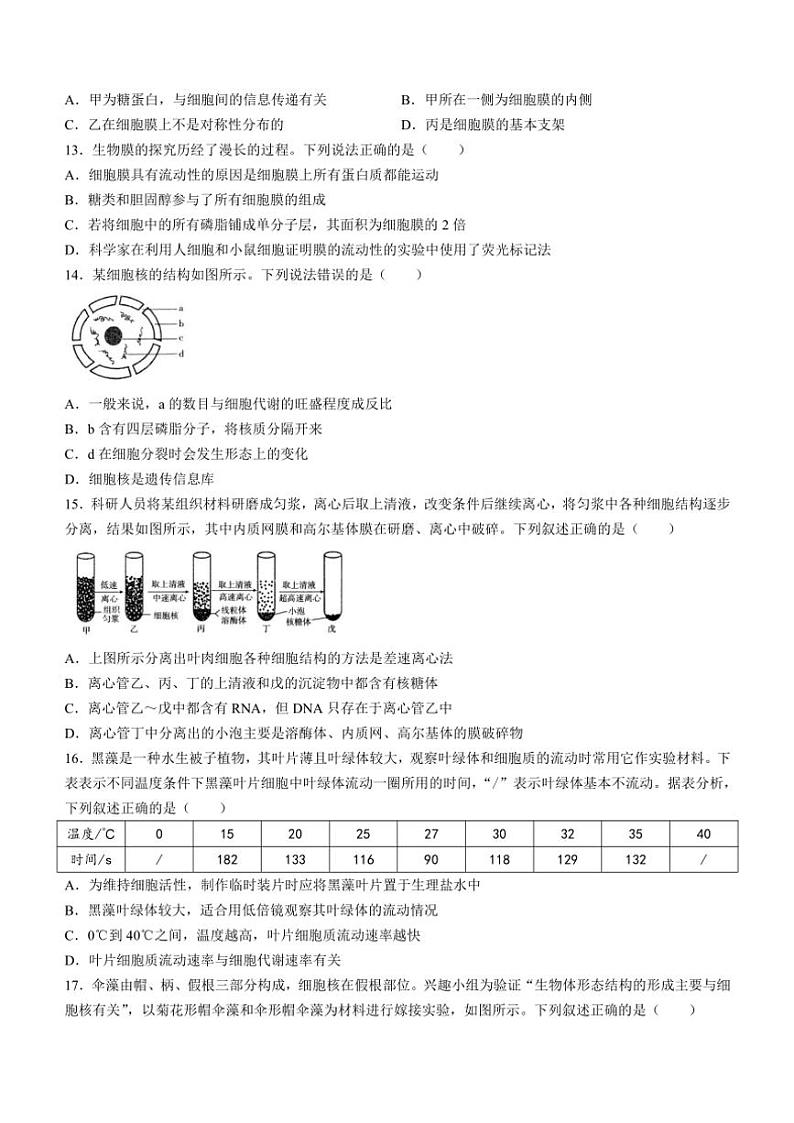 广东省名校联盟2024～2025学年高一(上)期中联考生物试卷(含答案)第3页
