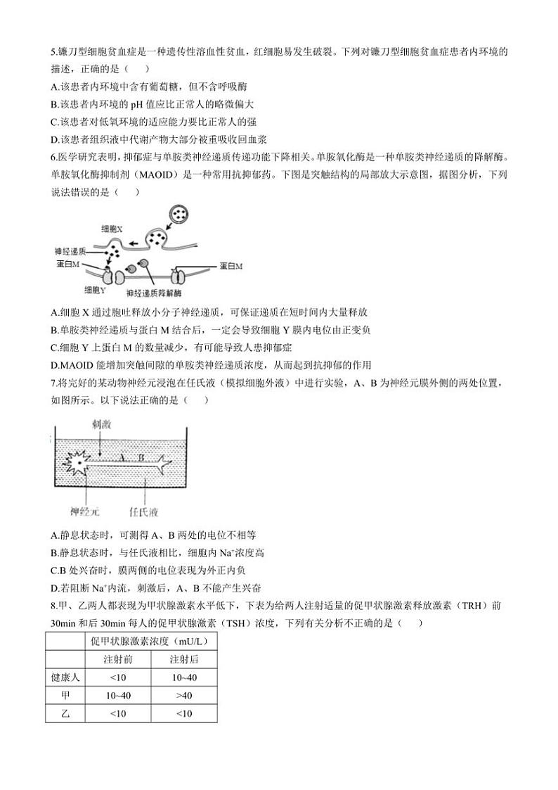 福建省福州第四中学2024～2025学年高二(上)期中生物试卷(含解析)第2页