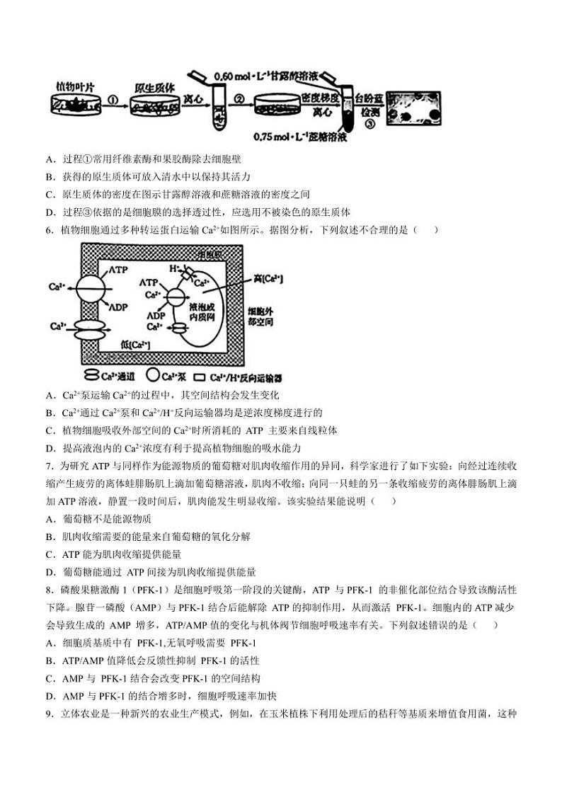 青海省名校联盟2024～2025学年高三(上)期中联考生物试卷(含答案)第2页