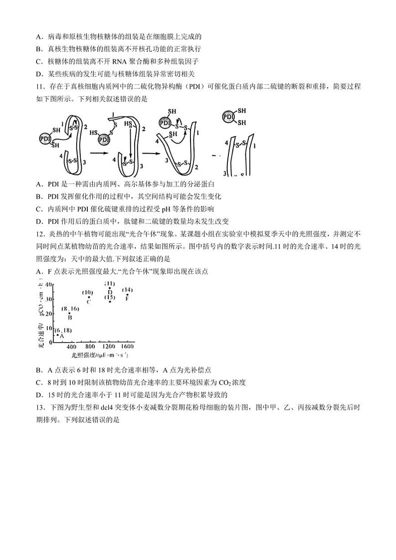 福建省泉州市安溪县2024～2025学年高三(上)期中生物试卷(含解析)第3页