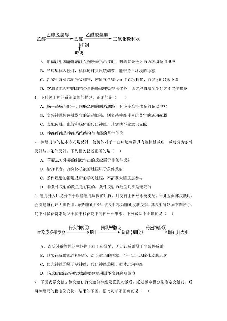 江西省上饶市铅山县私立瓢泉学校2024～2025学年高二(上)十一月月考生物自测题(含答案)第2页