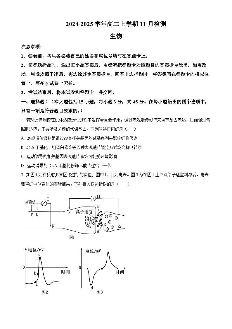 河南省安阳市林州市第一中学2024-2025学年高二上学期11月月生物试卷（Word版附解析）第1页