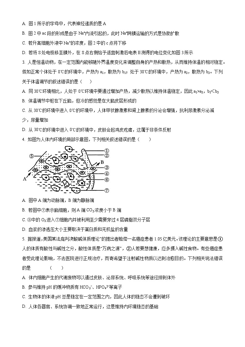 河南省安阳市林州市第一中学2024-2025学年高二上学期11月月生物试卷（Word版附解析）第2页