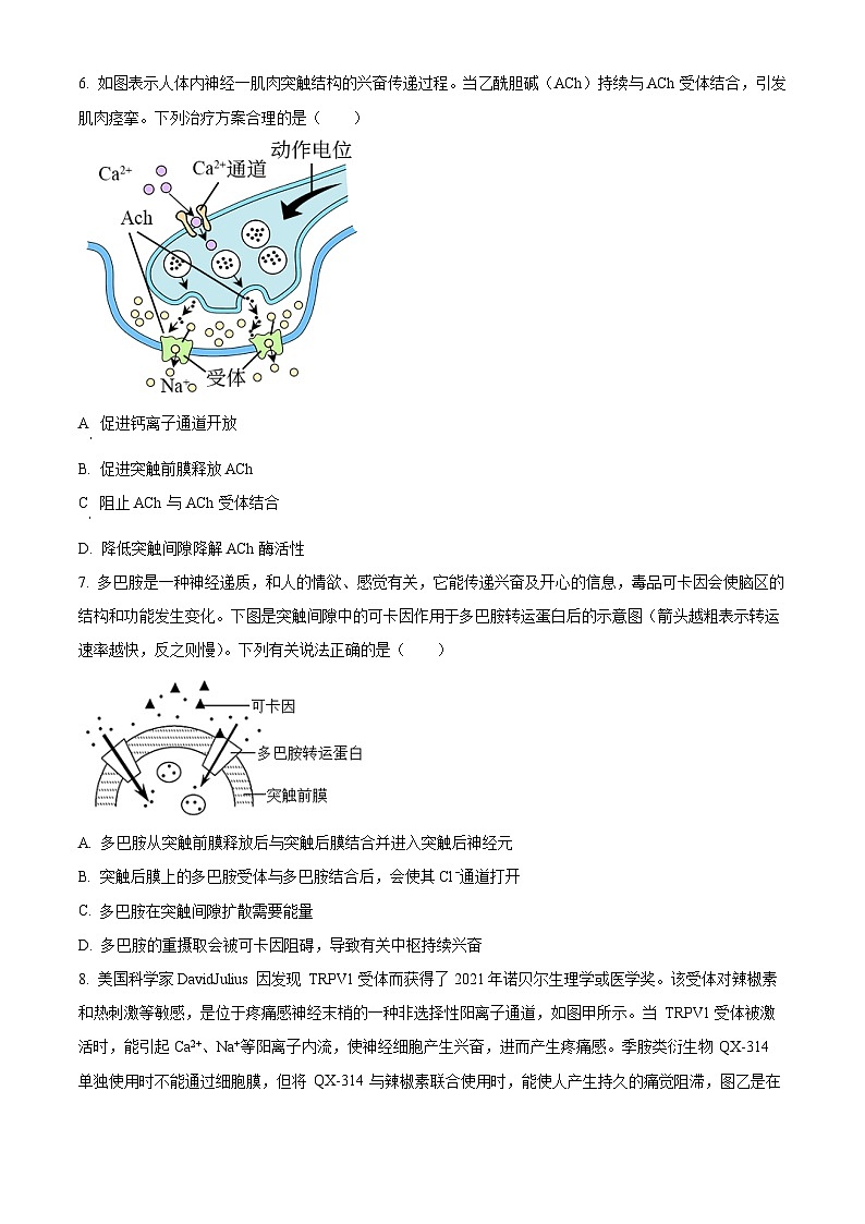 河南省安阳市林州市第一中学2024-2025学年高二上学期11月月生物试卷（Word版附解析）第3页