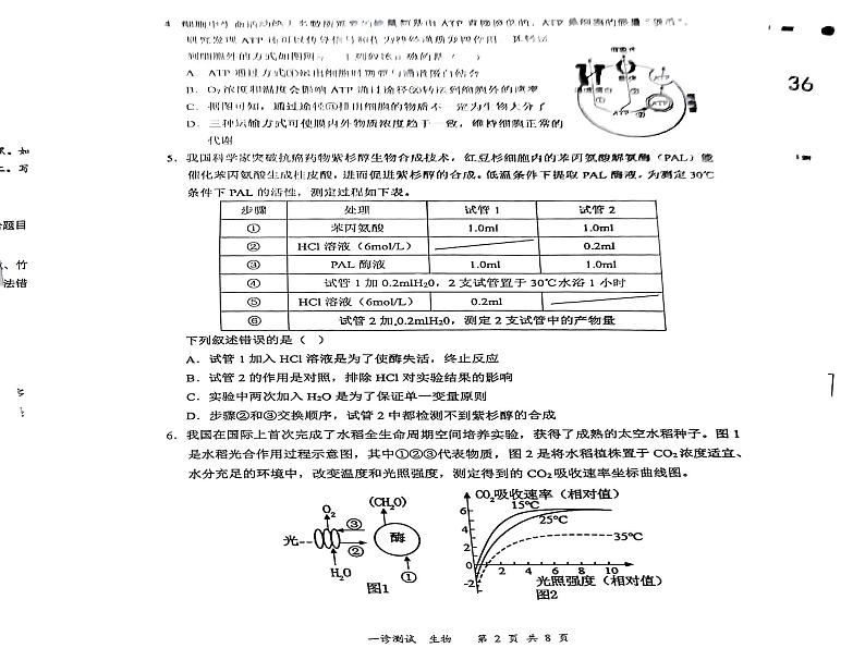 四川省宜宾市2025届高三第一次诊断性考试生物第2页