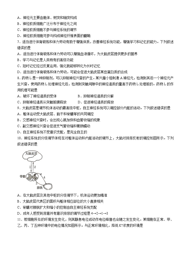 2025赤峰名校高二上学期期中联考试题生物含答案第2页