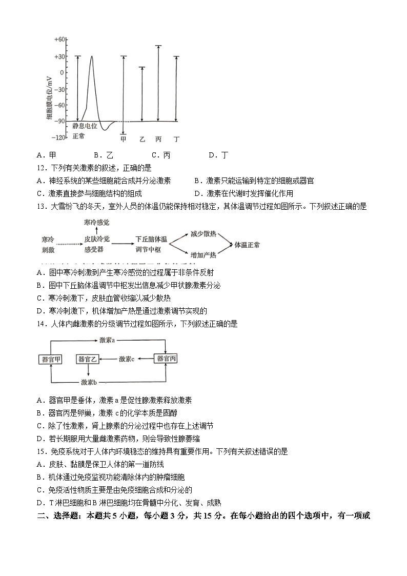 2025赤峰名校高二上学期期中联考试题生物含答案第3页