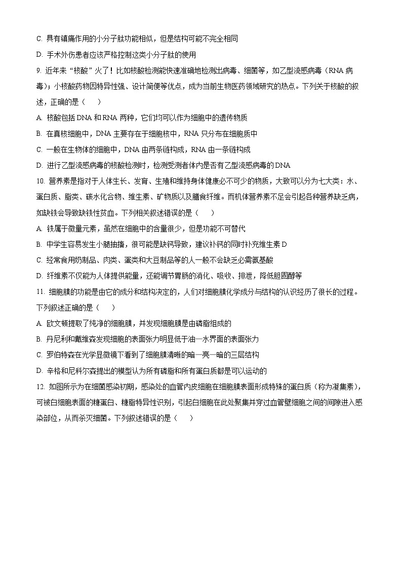 江西省部分学校2024-2025学年高一上学期11月期中生物试题无答案第3页