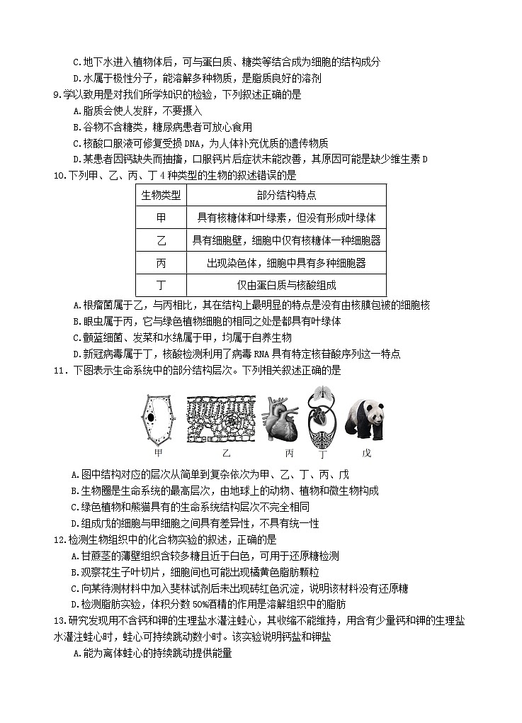 2025汕头金山中学高一上学期期中考试生物试题无答案第2页