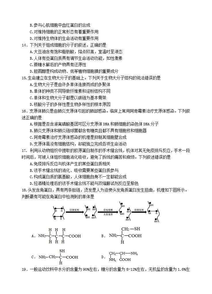 2025汕头金山中学高一上学期期中考试生物试题无答案第3页