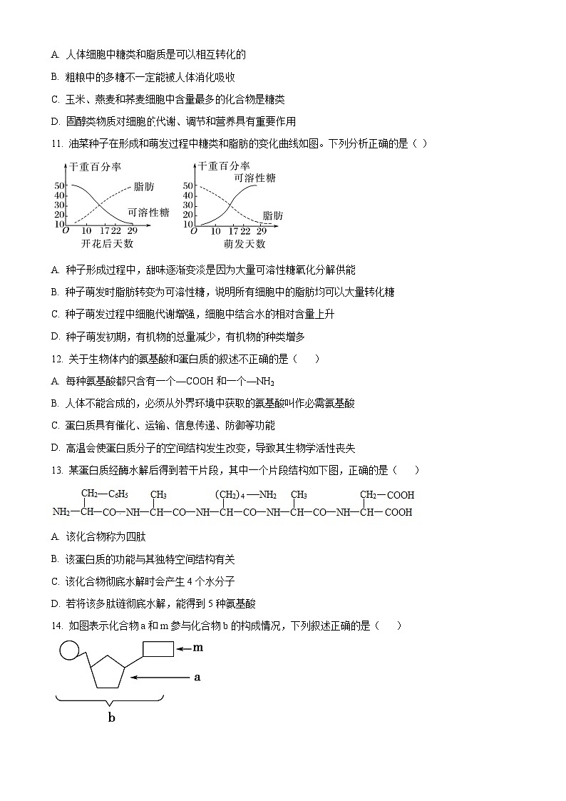 2025宁波三锋联盟高一上学期11月期中考试生物含解析第3页