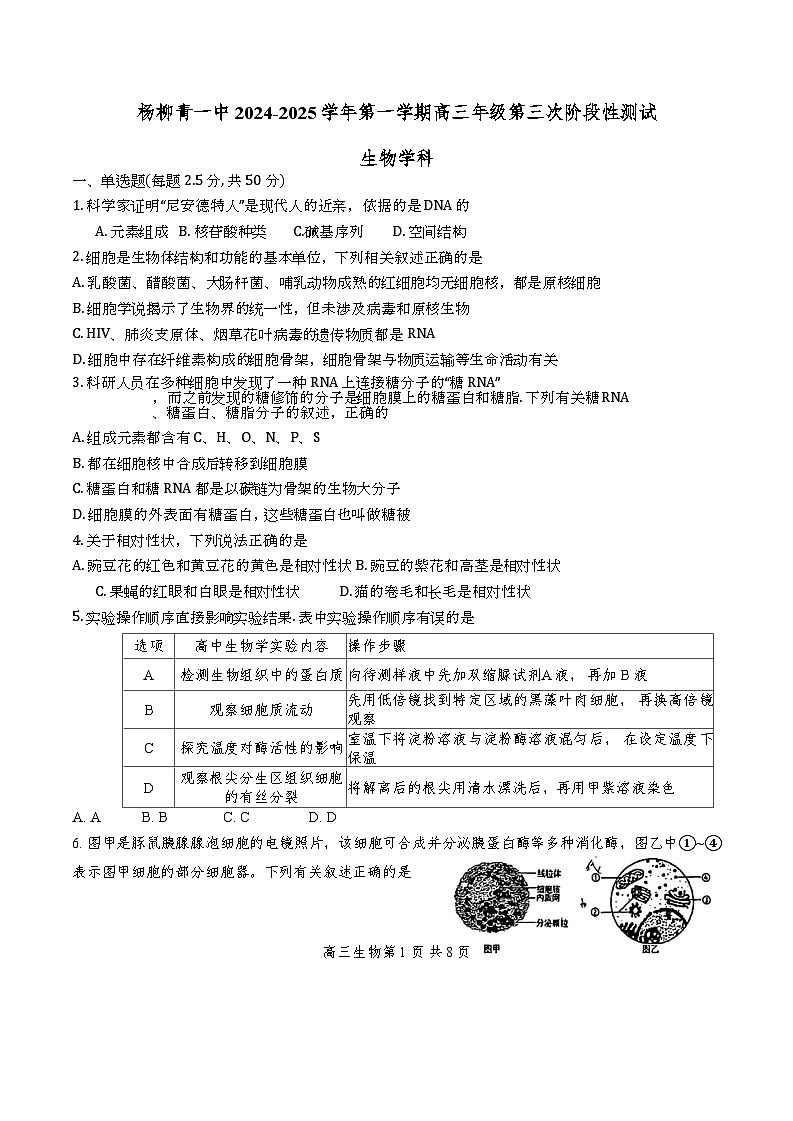天津市西青区杨柳青第一中学2024-2025学年高三上学期11月期中生物试题第1页